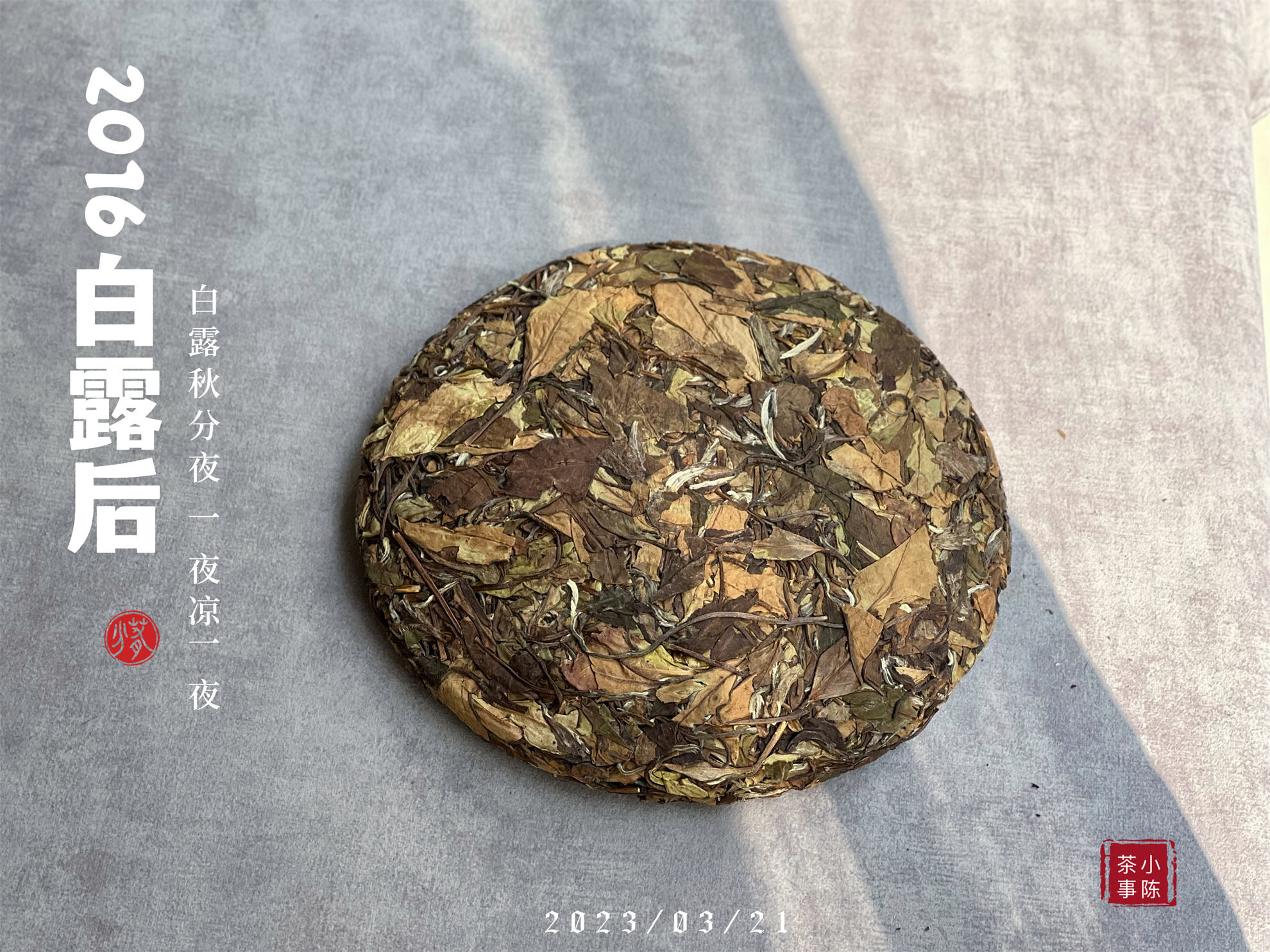 白毫银针茶哪种白茶最好,白茶的寿眉贡眉银针