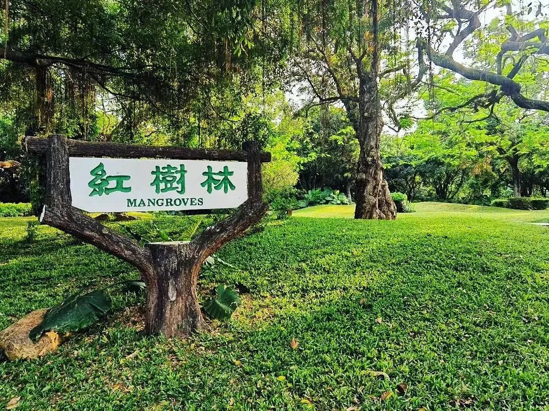 解码深圳,深圳解码