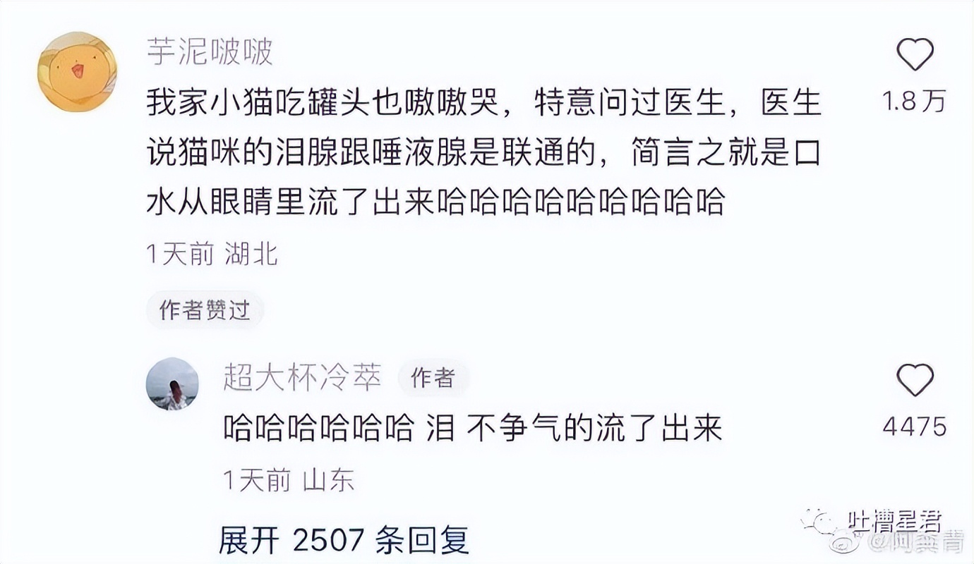 当代年轻人为什么感觉累,年轻人越来越累