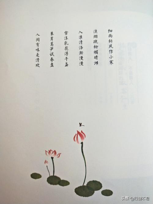 苏东坡的哪首诗里此心安处是吾乡,苏轼千古名句此心安处是吾乡