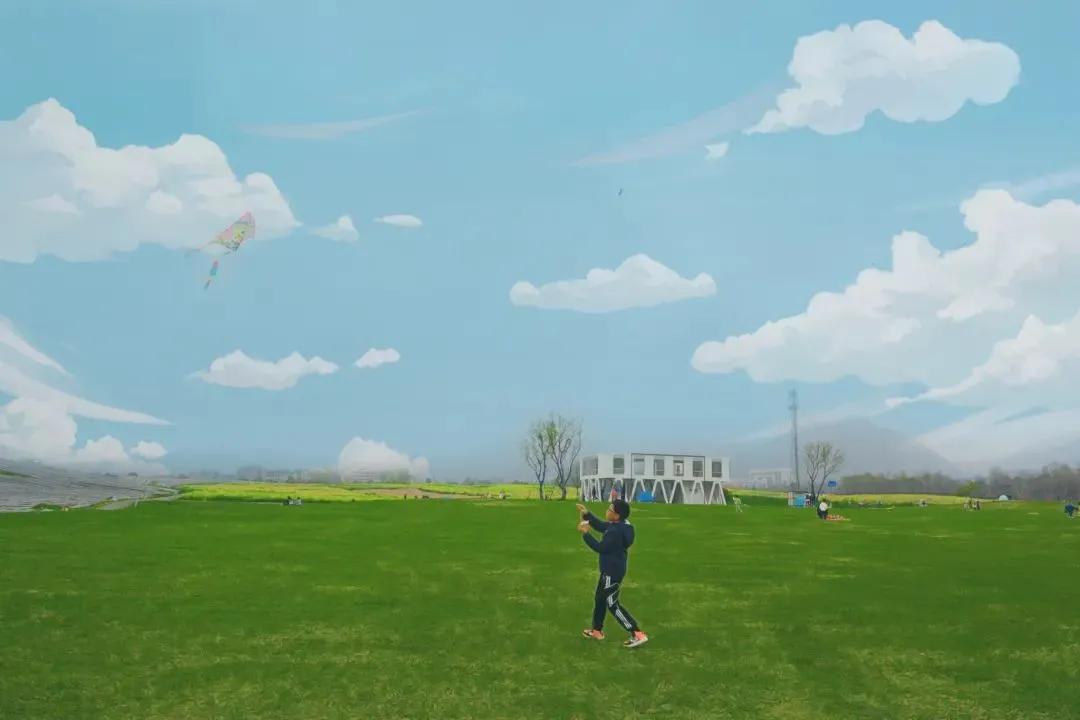 大草坪放风筝,草坪大风筝