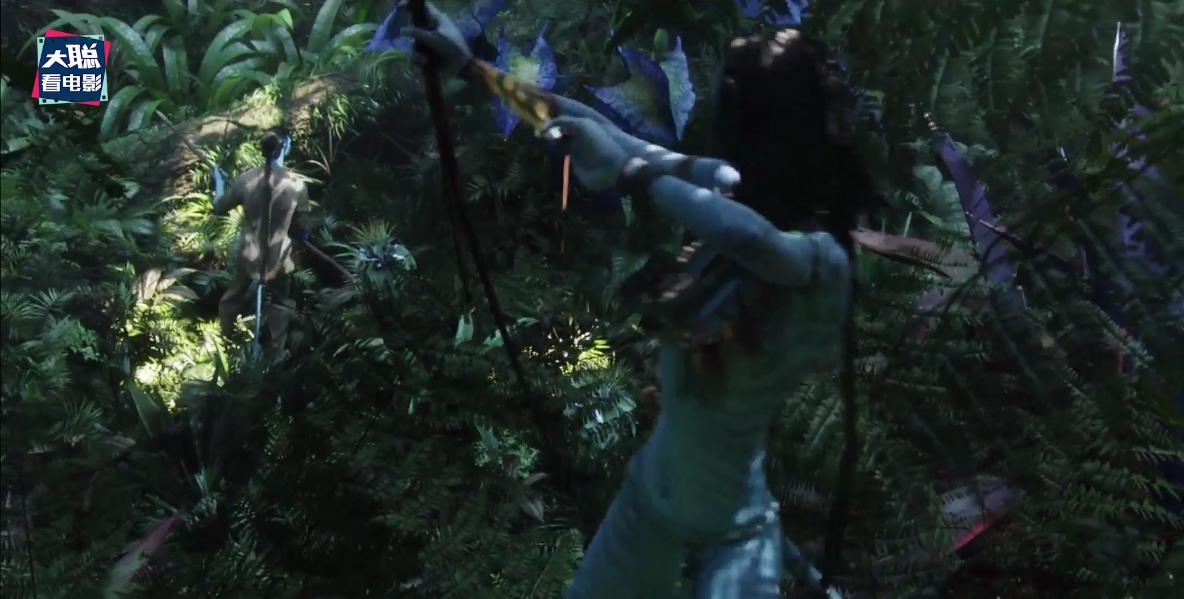 阿凡达2曝光全新中文海报及预告,外网曝阿凡达2预告