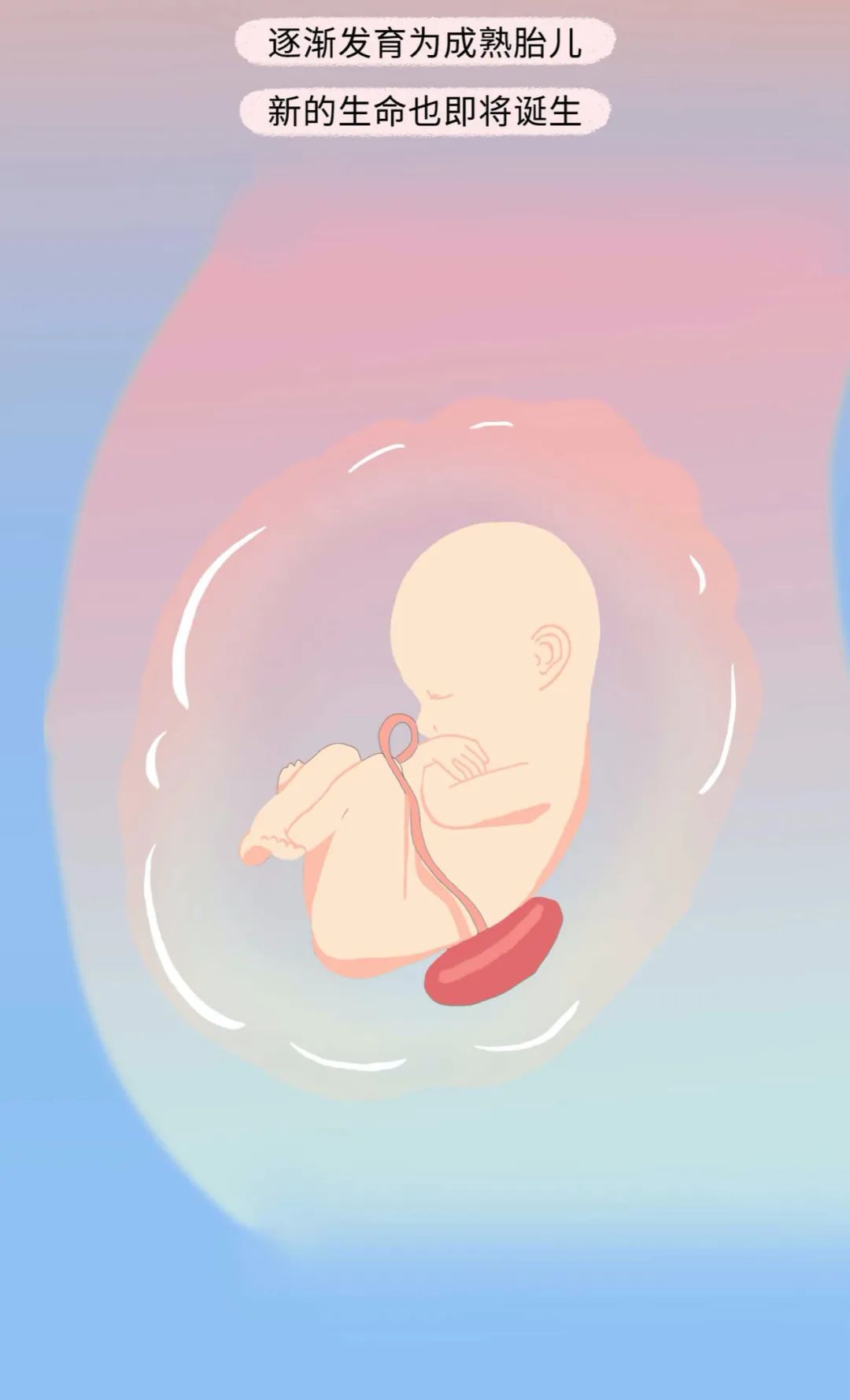 精子进入女生体内的全过程！（漫画）