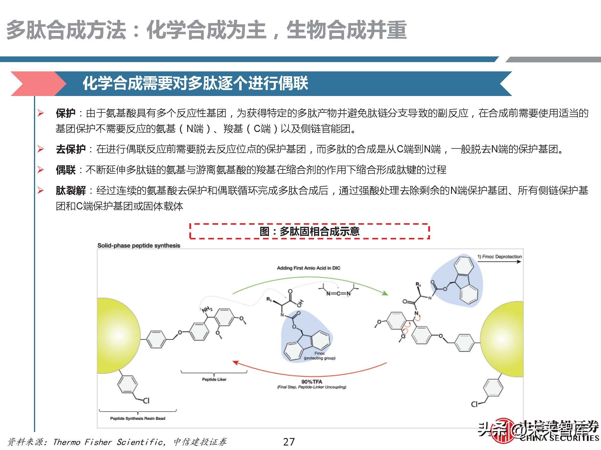 多肽药物前景,医药行业研究