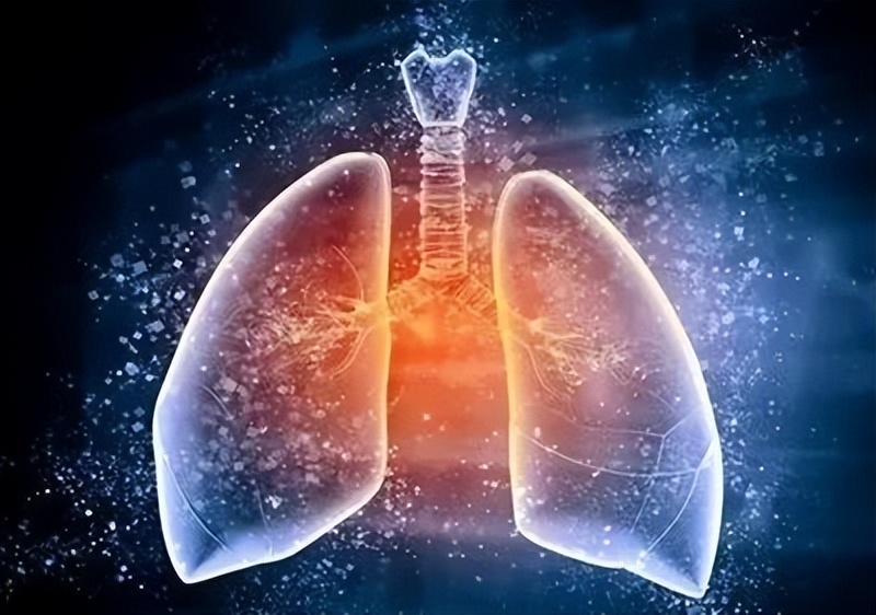 如何预防呼吸系统疾病,怎样预防肺部呼吸系统疾病