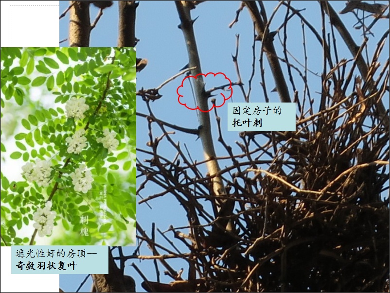 生态环境科普课堂,生态环境科普进校园