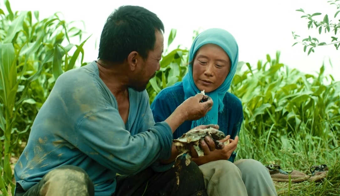 《隐入尘烟》被下架大可不必，其实可以正视研究改进它