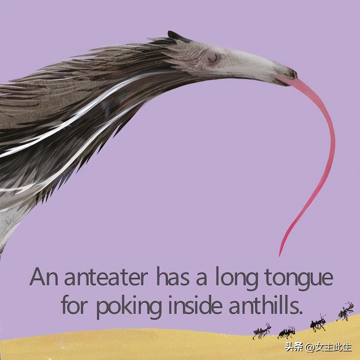 认识小动物的英语绘本,关于动物的英语绘本大全