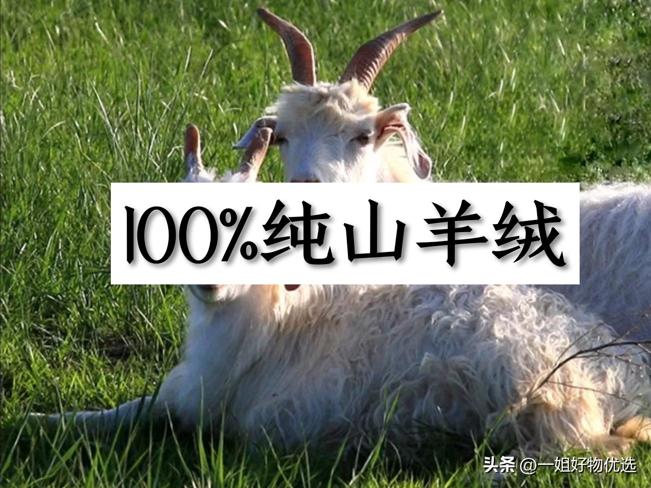 lv纯羊绒围巾价格,羊绒围巾哪个牌子最好