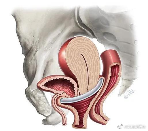 史上最强*迁拆**队——「我切了妈妈的子宫」