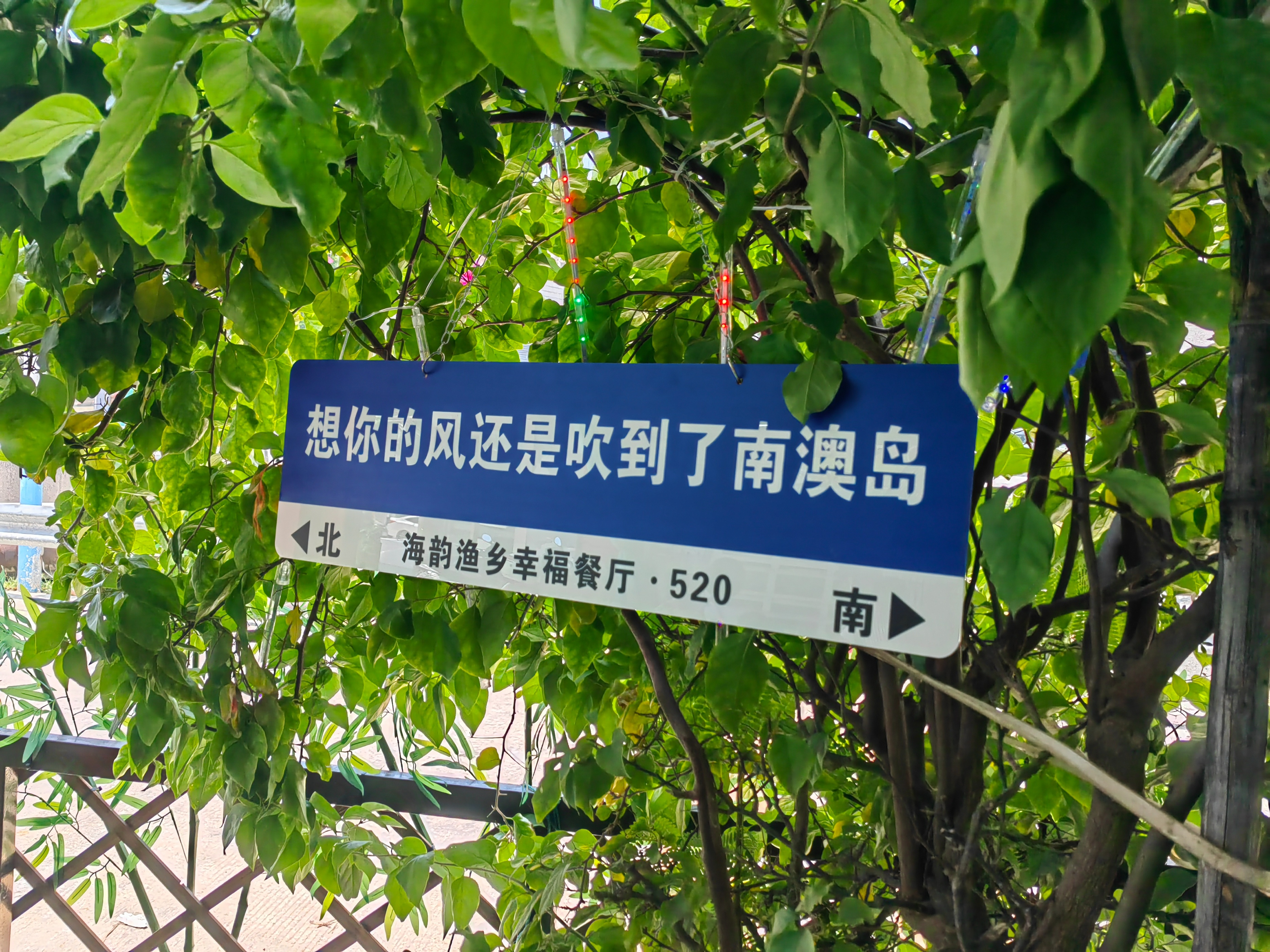 南澳自驾游一日游攻略,南澳一日游路线规划