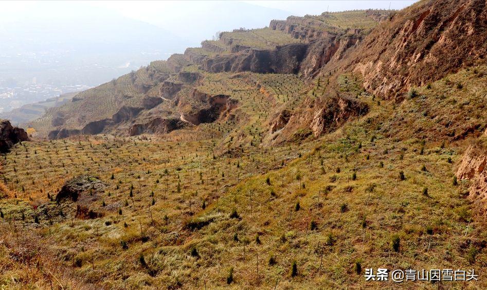 农村空闲地如何合理利用,农村未来发大财的方向