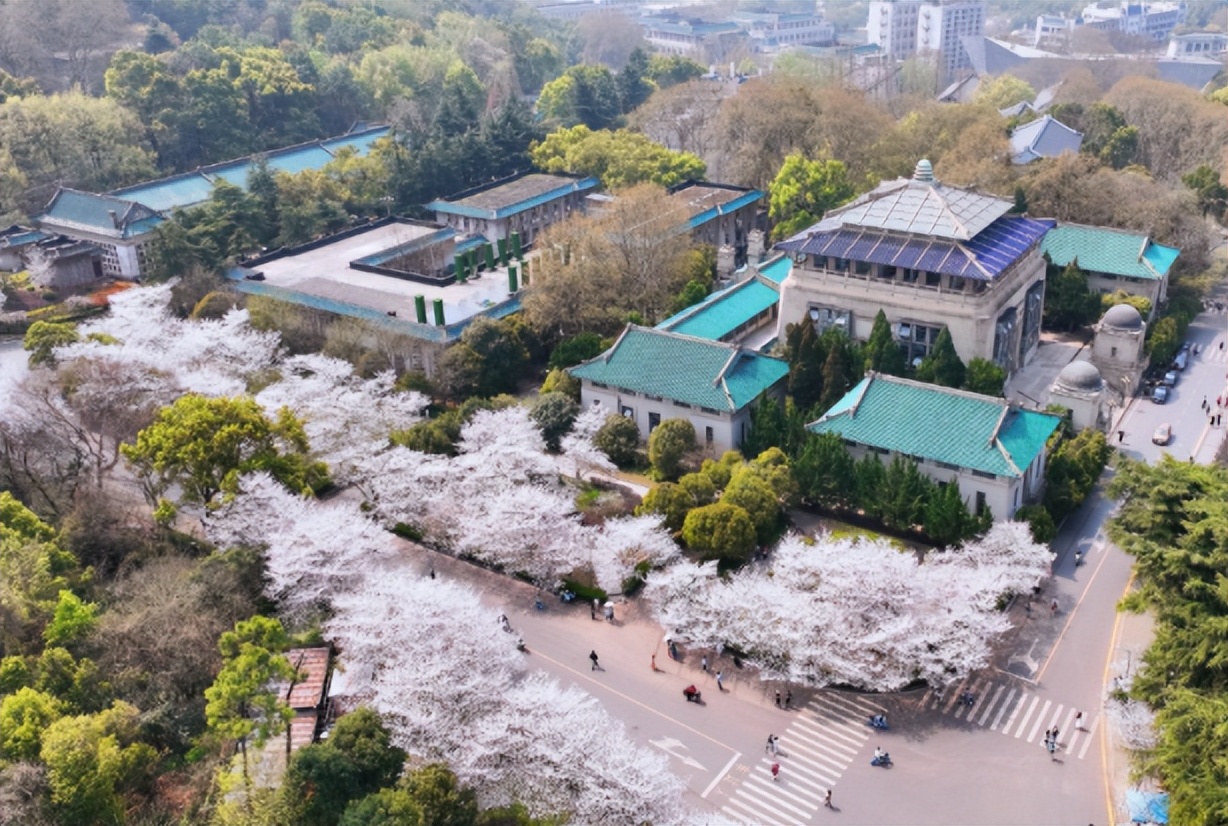 彭文乐到武大报到,彭文乐被找到时认识彭高峰吗