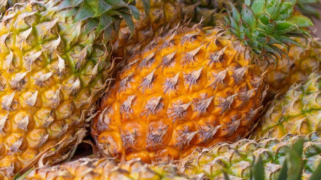 大年初9禁忌,大年初九忌讳吃什么