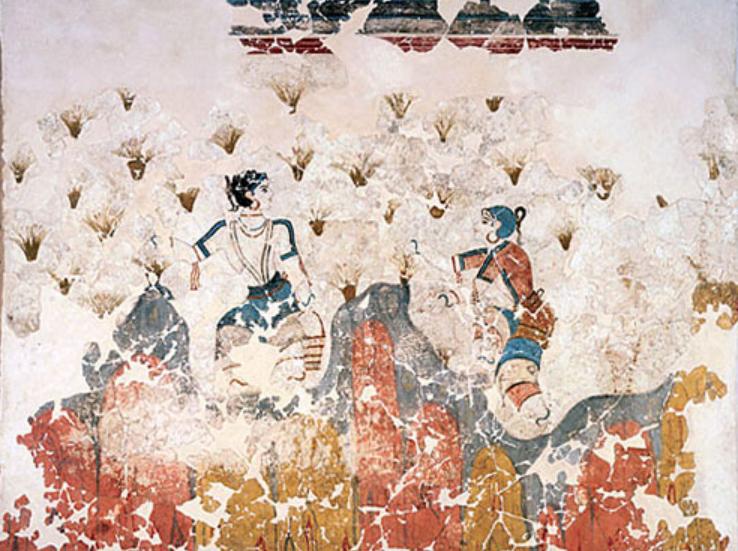 国外千金难求的藏红花，为何国内几十块称斤卖？是不是智商税？