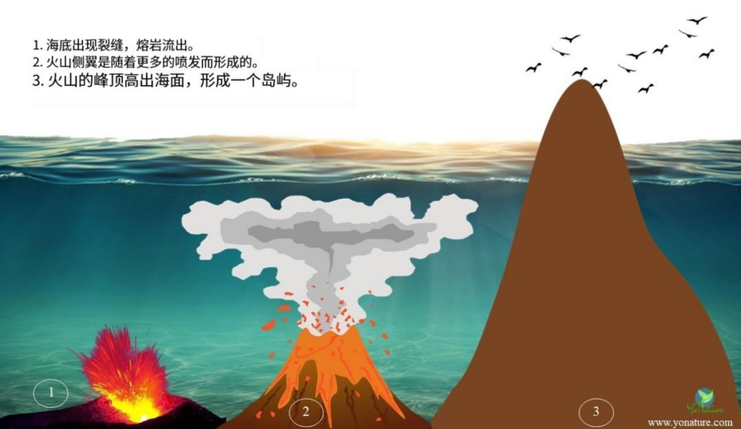 单价屡创新高，黄金魅力何在？