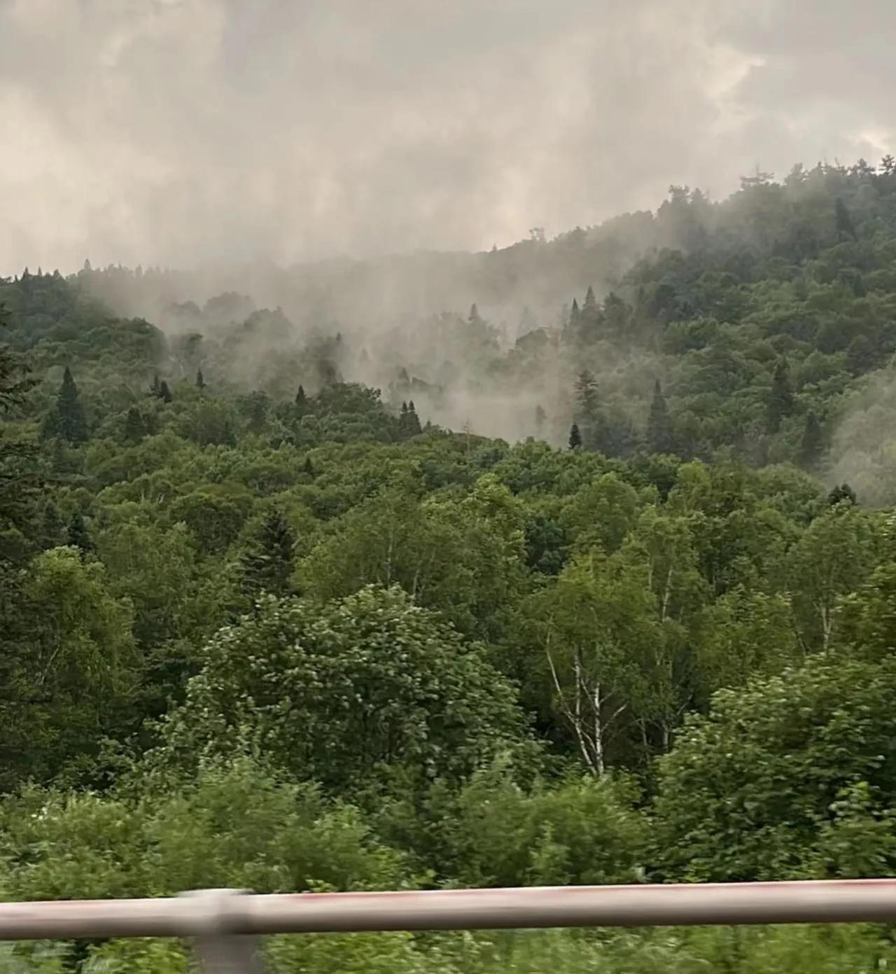 北京到内蒙东北边境自驾游攻略第十四天,黑河到伊春