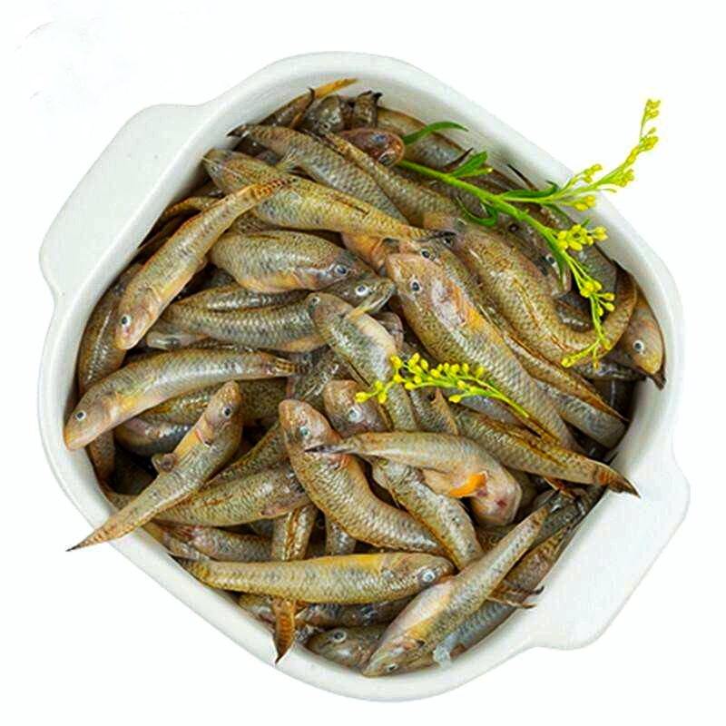 盘点八种正在消失的河鲜,消失的十二种河鲜