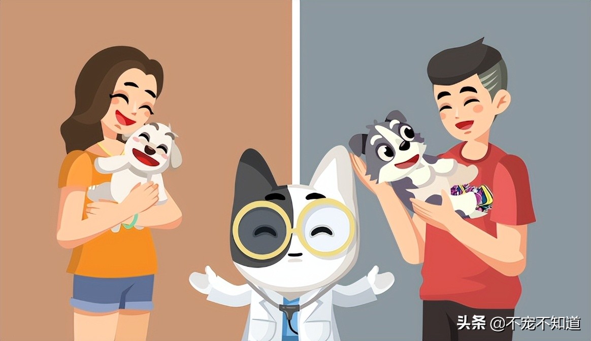 幼犬刚到家怕人怎么办,幼犬太脏不想养了怎么办