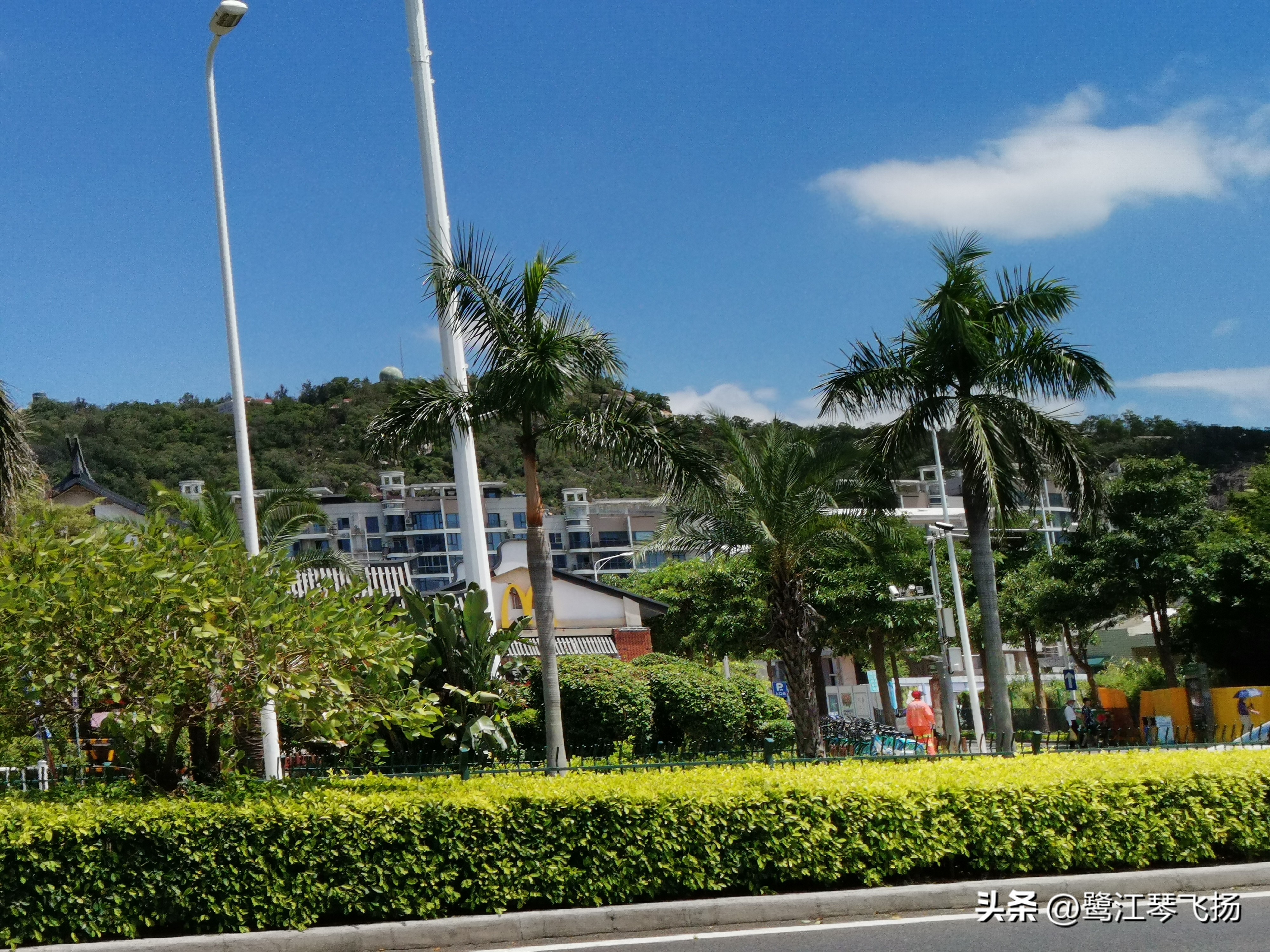 厦门最近桑拿天气,阴雨天厦门好去处