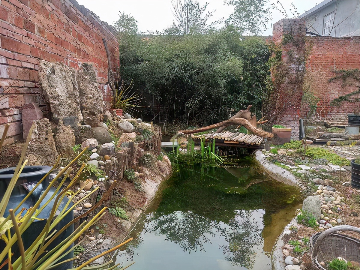 远方小院完整版,远方小院农家乐