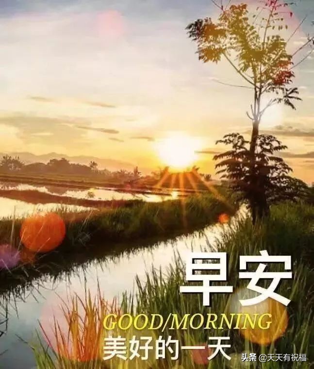 早安祝福语简短问候语图片,最美早安问候祝福语图片带字温馨