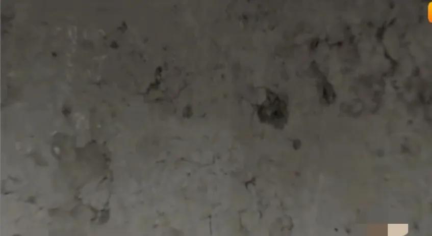 吃土上瘾是什么原因,儿童吃土的危害