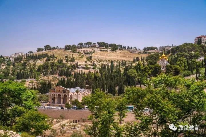 耶路撒冷三千年解读版,耶路撒冷三千年电影