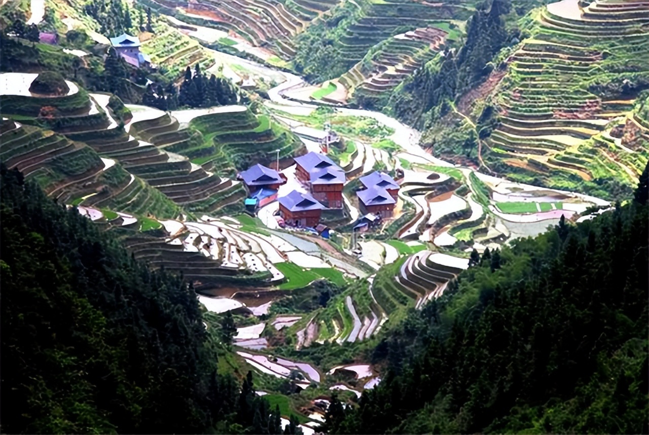 广州最牛的钉子户完整版,广州最牛钉子户10平方赔偿400万