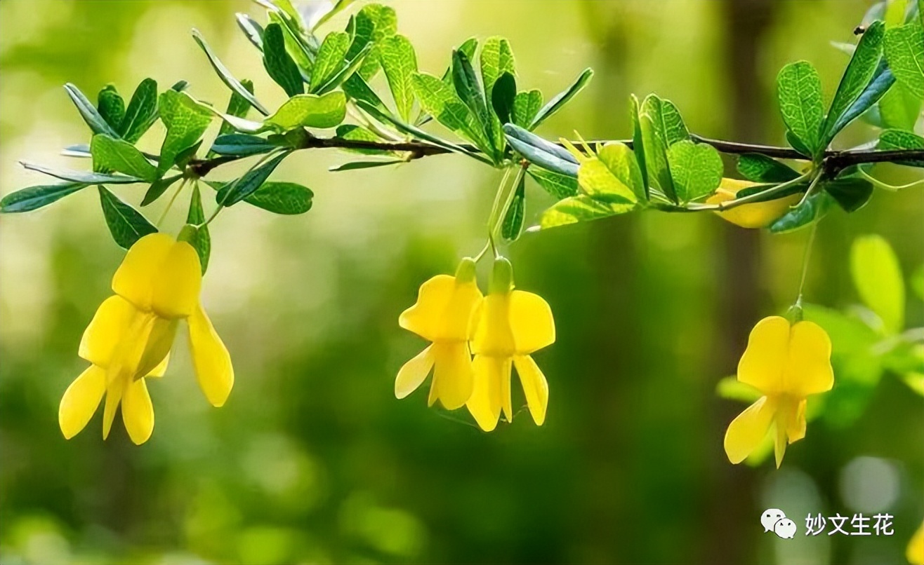 酸甜苦辣咸这才是完美的人生,酸甜苦辣咸都是人生的滋味