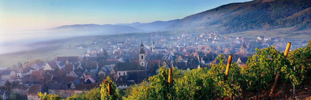 请说出5个法国葡萄酒产区名称,简述中国葡萄酒的主要产区及名品