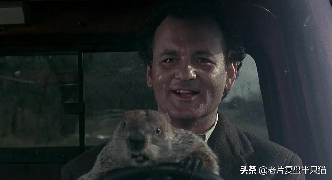 值得一生反复观看的10部电影,开局就想看完的十部电影