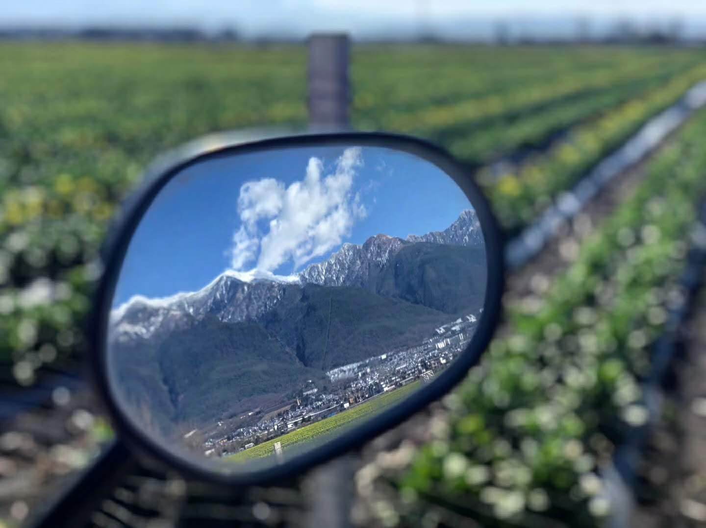 新湖中宝和新湖地产,新湖中宝房地产销售最新消息
