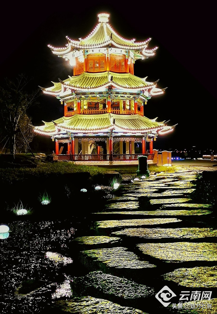 早安•云南|“保山之眼”青华海，候鸟翩跹“湿”情画意