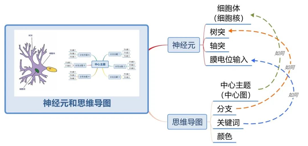 英语思维导图小学生学习方法,学习方法书这本书的思维导图