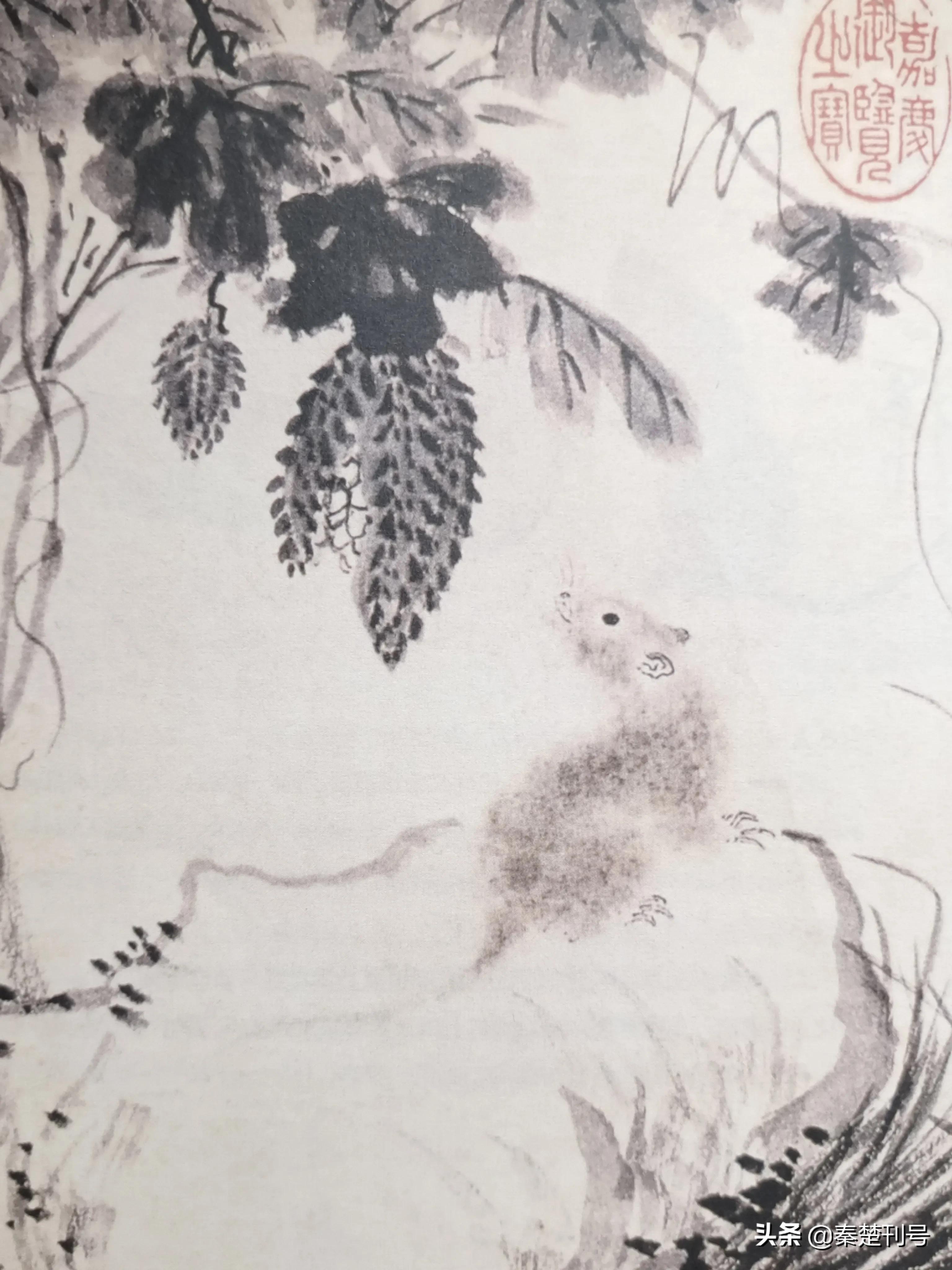 属相老鼠为啥排第一,老鼠排十二生肖第一个真实原因