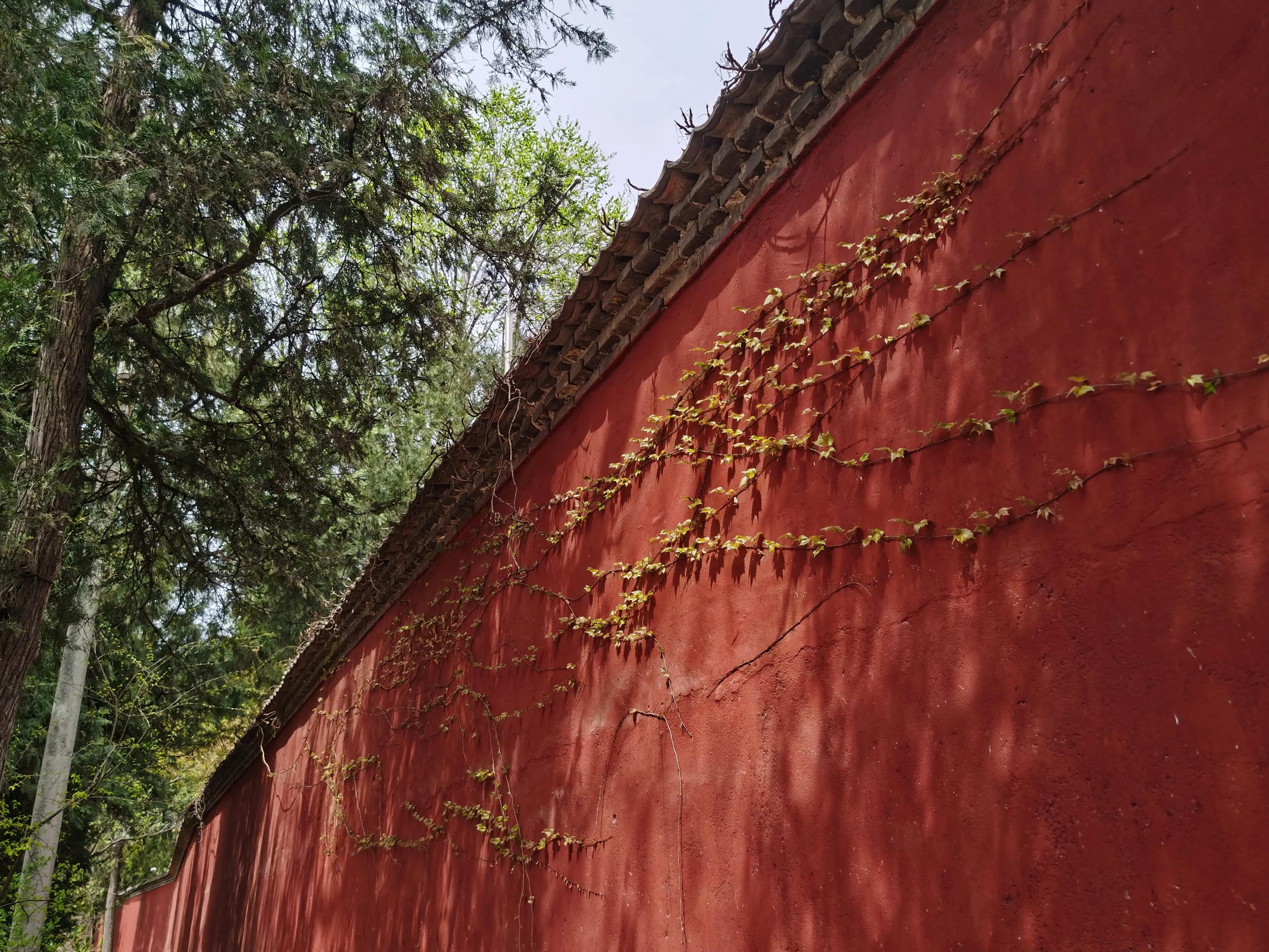 西安大兴善寺免费景点,西安市的世界文化遗产