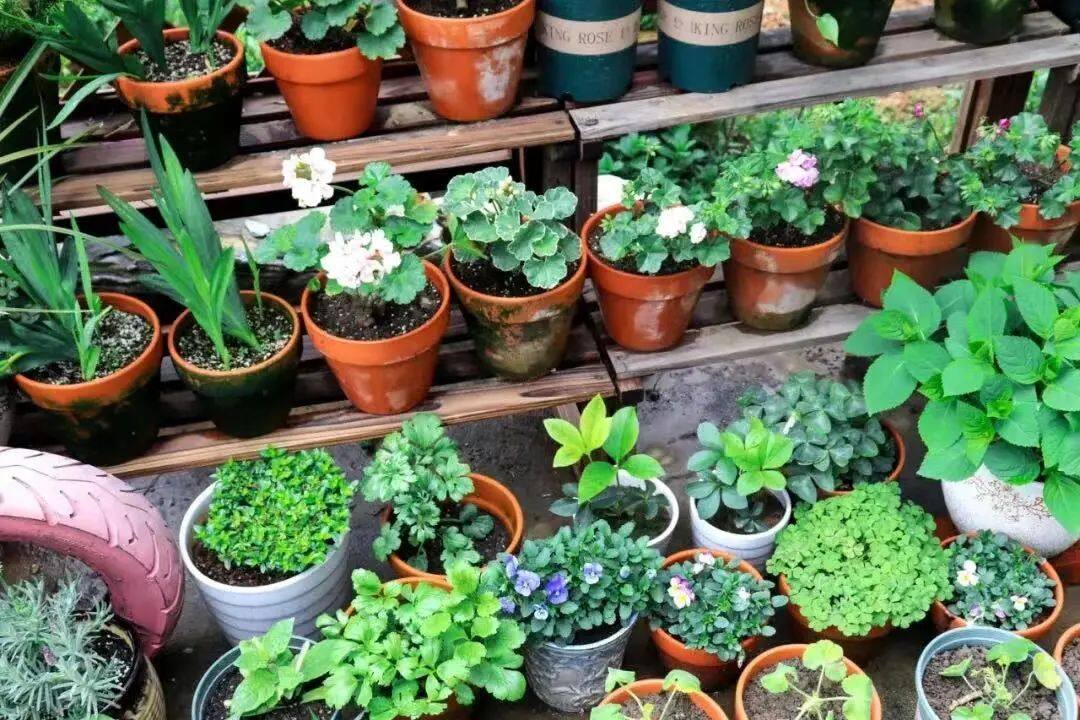 离杭州比较近的浙江城市,离杭州很近的市区