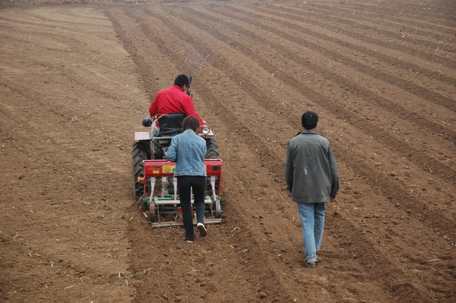 农村承包土地最新政策到期怎么办,农村户口全部迁出土地承包收回吗
