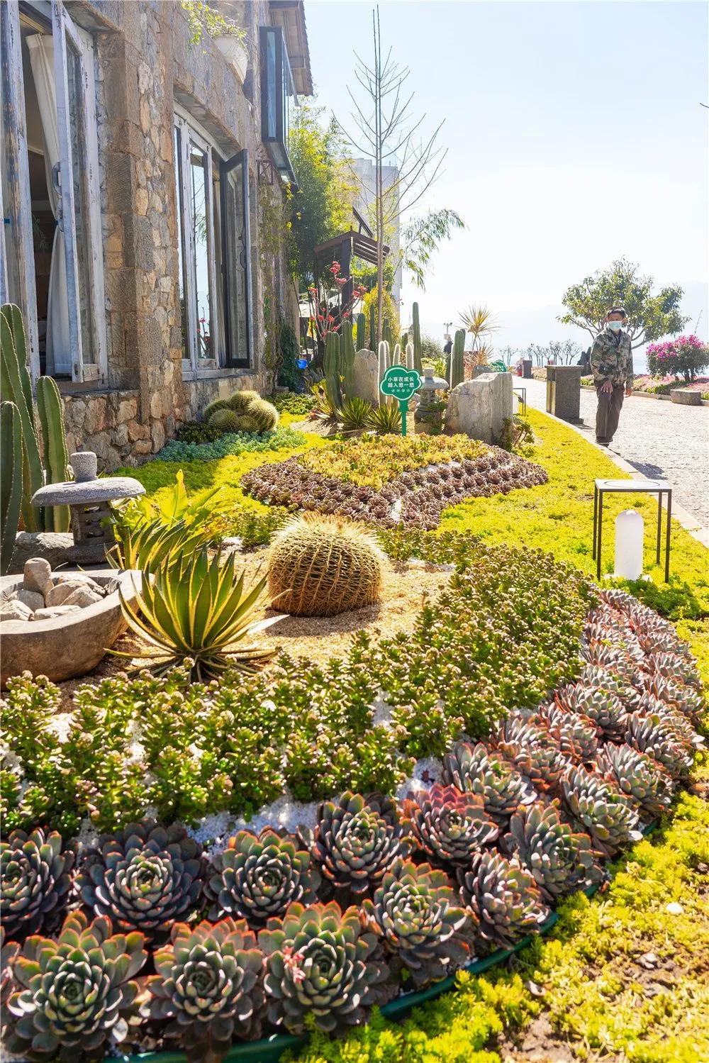 带你去双廊,住在浪漫的双廊洱海边看风景