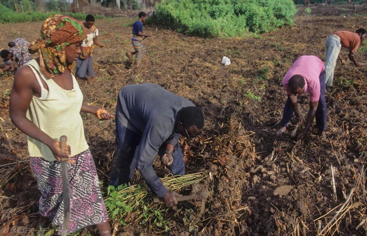 欺人太甚！船到南非，船员的好心行为遭遇女人无故找事，做人太难