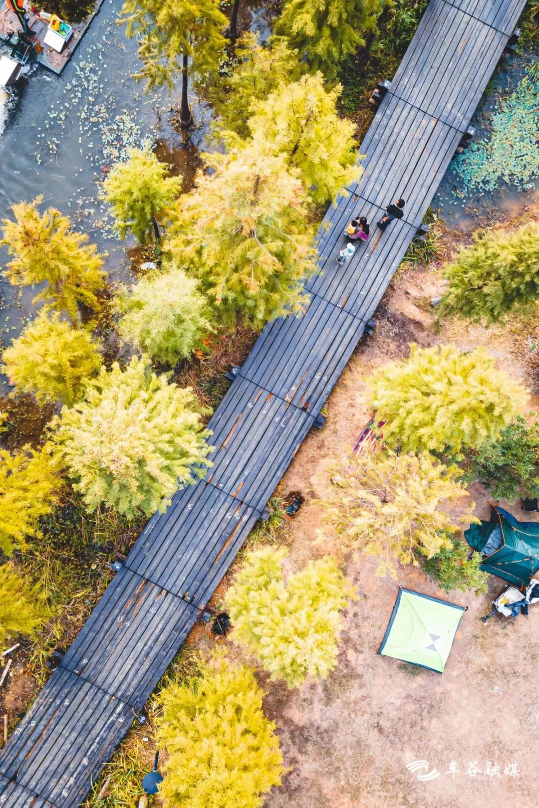 散步、慢跑、骑行……快来打卡车谷这些“高颜值”绿道