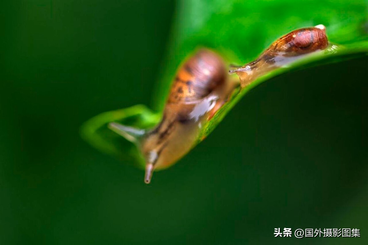 世界顶级唯美人像摄影师,世界顶级自然摄影师作品