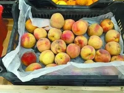 长得丑被抛弃,长得丑被人抛弃