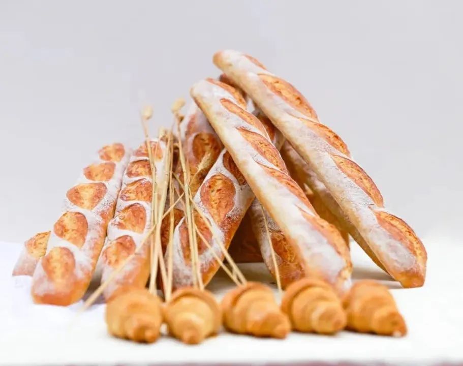 创业项目推荐西点专业,学西点想开店学什么专业