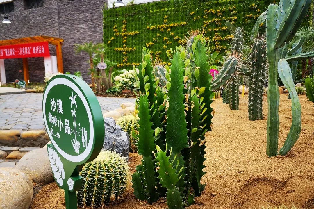 江苏省天一中学2023成绩,2019届江苏天一中学