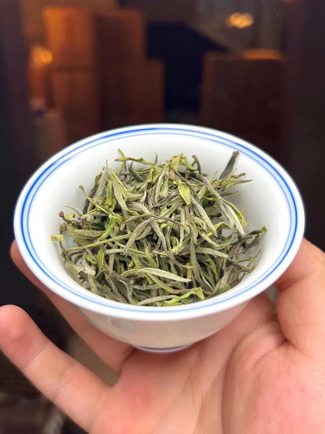 白茶初入门的新手如何能买到好茶,白茶新手入门必买