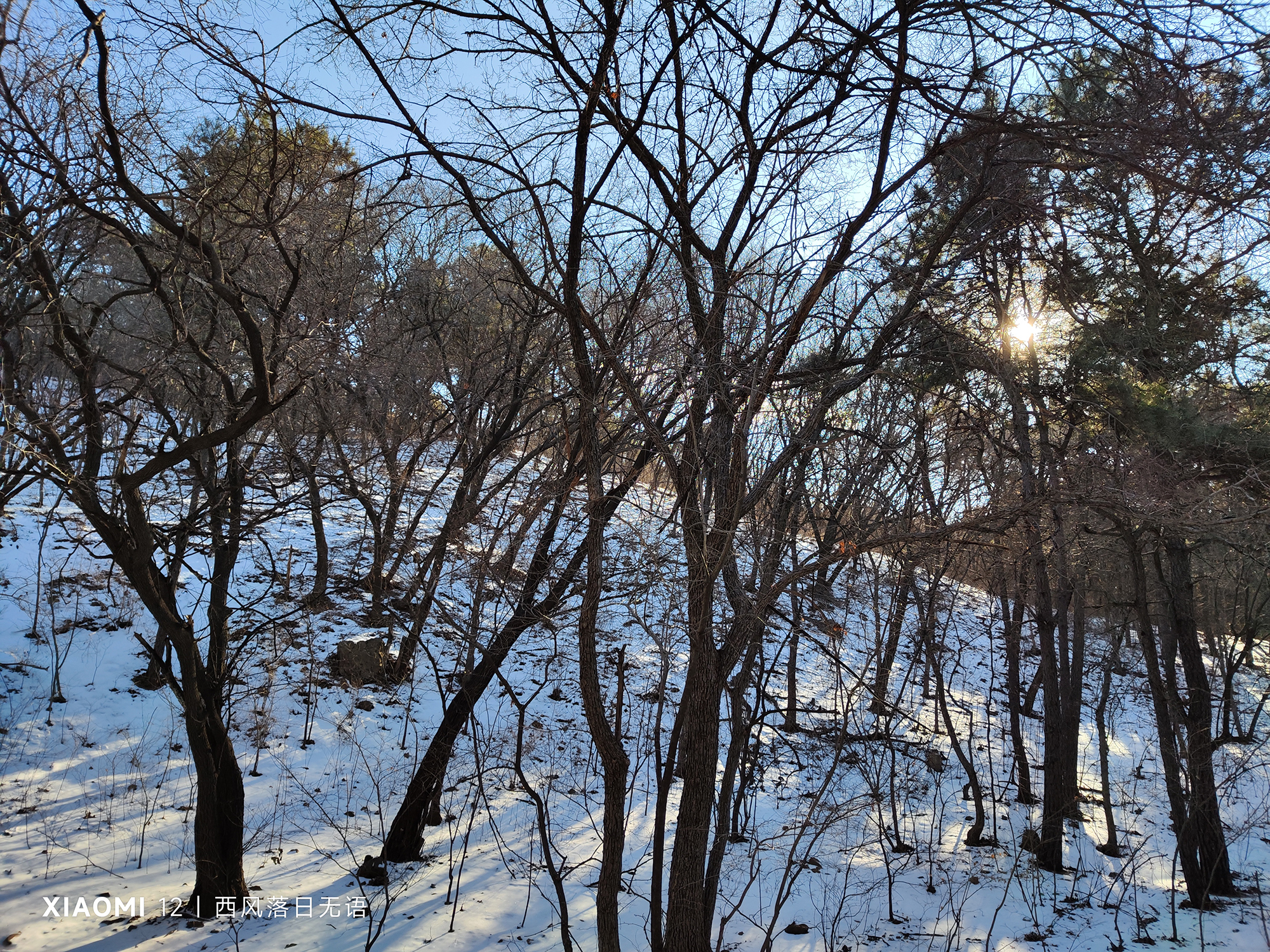 小米12还值得入手嘛,小米12还值得入手么最新