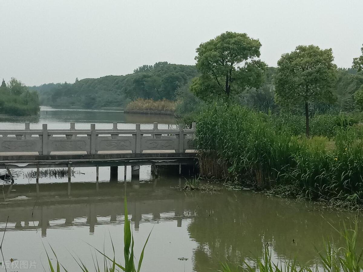 沙家浜红色之旅视频,沙家浜全国百家红色旅游经典景区