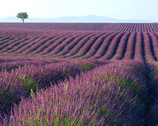 女人投资自己的最佳方式,中年女人投资自己的最好方式